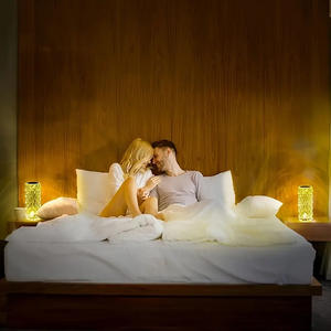 欧洲发光二极管水晶玫瑰水波夜灯，带触摸控制电池，用于卧室床边气氛照明 - Product Image 4