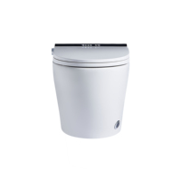 Toilette intelligente une pièce capteur de chauffage électrique chasse d'eau toilette séchage à l'air siège chauffant monté au sol en céramique