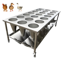 Cône de saignée de poulet MD Brand, garantie 1 an, pratique pour la collecte du sang de poulet, peut abattre 10 poulets