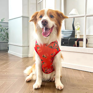 Xxxxxl Summer 8xl Long Vêtements et accessoires pour chiens de compagnie - Product Image 2