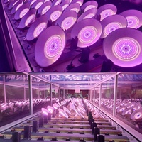 Lampu pertumbuhan tanaman LED 50w 80w aluminium tahan air spektrum penuh pertumbuhan sayuran Gerbera stroberi lampu pertumbuhan Teluk tinggi