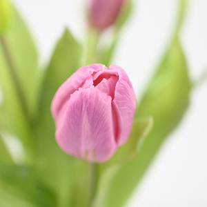 <span class=keywords><strong>Fleurs</strong></span> de tulipes artificielles de 32 cm, toucher réel, haute qualité, pour la décoration de table de Noël et du Nouvel An, idée cadeau de luxe - Product Image 3