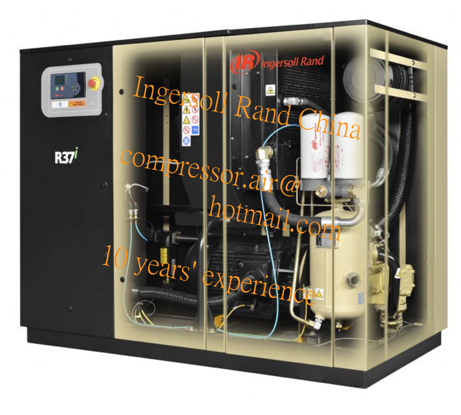 Olio per aria compressa Ingersoll-Rand 10G - tanica da 3,8l Olio per aria compressa Ingersoll-Rand 10G - tanica da 3,8l