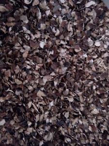 Offres Spéciales CASHEW HUSK 3-10mm Marron 10% Humidité GGN Marque MOINS CHER PRIX 2025 - Product Image 5