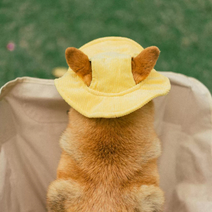 Chapeau Bob pour Animaux de Compagnie, Tendance et Respirant, Motif Uni, Rayures en Velours Côtelé, Protection Solaire, Doux et Adorable, Vente en Gros - Product Image 6