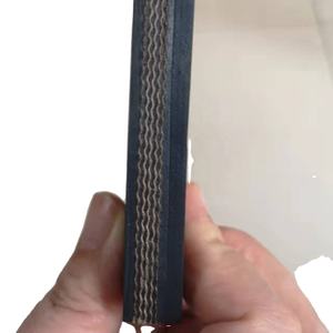 ISO bersertifikat kualitas tinggi EP100 2-6ply ketebalan poliester 0.8mm/P EP Inflaming Retarding karet sabuk konveyor - Product Image 6