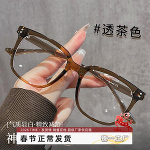 Gafas de Moda Mirror One Factory para Mujer, Montura Rectangular TR90, Anti Luz Azul 19340, Montura Completa, Lentes de Plástico - Product Image 1