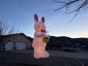 Kangourou gonflable blanc de 3 m de haut avec lumières, peut être porté sur le dos et utilisé pour les spectacles nocturnes - Product Image 3