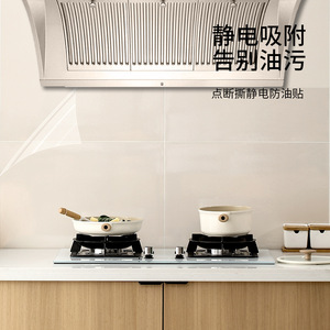 Beans Oil Proof Sticker Rectangle Transparent Static Electricity Wall Protection Film For Kitchen Stove - Product Image 1