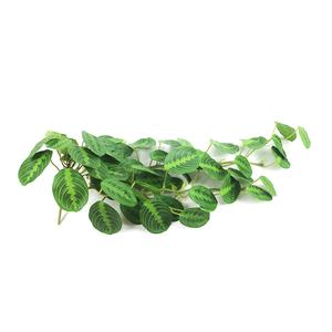 Planta Artificial <span class=keywords><strong>Calathea</strong></span> Suspensa de 85cm, Planta Falsa <span class=keywords><strong>Calathea</strong></span> Suspensa - Product Image 3