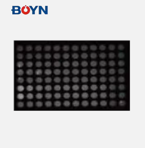 BNFIS-A 시리즈 자동 젤 영상 분석 시스템 형광/화학 발광 문서 실험실 영상 시스템 - Product Image 5