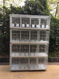 Большая клетка для разведения попугаев, многоярусная, разборная, передвижная - Product Image 2