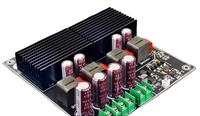 BRZHIFI SAMP-200 Dual core TPA3255 Circuit imprimé amplificateur haute puissance à 2 canaux 600W + 600W carte amplificateur classe D pour voiture à la maison