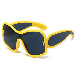 2025 nouvelles lunettes <span class=keywords><strong>de</strong></span> <span class=keywords><strong>soleil</strong></span> une pièce pour femmes UV400 <span class=keywords><strong>ski</strong></span> lunettes <span class=keywords><strong>de</strong></span> <span class=keywords><strong>soleil</strong></span> à grand cadre lunettes à la mode et polyvalentes - Product Image 5