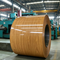 Grain de bois PPGI PPGL Métal Bobine Panneau Mural Couleur OEM Modèle Conception Enduit Prépeint Gi PPGI PPGL Galvanisé Acier Bobine Feuille