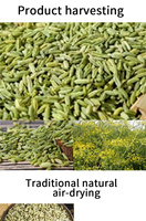 Penjualan Langsung Pabrik, Harga Rendah: Rempah & Herbal Tunggal Cina, Biji Adas Manis Alami