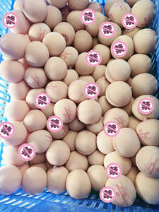 Pelota antiestrés para adultos, Bola de pecho ficticia, Bola de pecho exprimible, música de pellizco de juguete de ventilación - Product Image 5