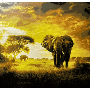 Safari - Product Image 1