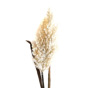 Xiangnan Offre Spéciale fleurs séchées <span class=keywords><strong>de</strong></span> luxe Fleur Artificielle fleurs <span class=keywords><strong>de</strong></span> mariage maison décoration <span class=keywords><strong>de</strong></span> mariage - Product Image 6