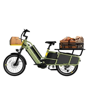 New Design Double Removable Battery EU CE Version Bafang 250W 2 Wheel Cargo Bike Electric