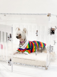 <span class=keywords><strong>Cage</strong></span> pour animaux de compagnie personnalisée professionnelle en usine maison pour animaux de compagnie maisons pour chiens transporteur pour animaux de compagnie en acrylique transparent