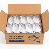 Pomfret argenté entier IQF surgelé de qualité supérieure 100-200g 200-300g Origine Chine Poisson de mer surgelé de haute qualité pour la restauration en gros