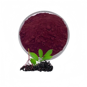 สารสกัดจากผลเอลเดอร์เบอร์รี่ ผงผลแบล็คเอลเดอร์เบอร์รี่ (<span class=keywords><strong>Sambucus</strong></span> Nigra) อุดมไปด้วยแอนโทไซยานินและฟลาโวนอยด์ - Product Image 1