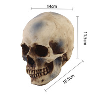 Modèle de squelette en résine personnalisé OEM, tête de crâne 3D en polyrésine, figurine décorative pour Halloween et bar à domicile, fabricant