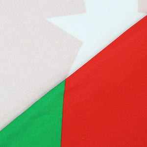 Nuevo Producto 2026, Cubierta para Capó de Coche con Bandera de México e Irán, de Poliéster Elástico, Impresión Digital, Fibra de Vidrio, Económica - Product Image 5