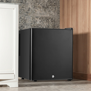 Mini Refrigerador Congelador de 30L Adecuado para Habitaciones de Hotel - Product Image 1