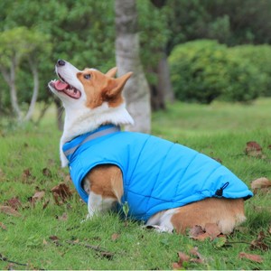 Abrigo acolchado de algodón para perros, ropa de invierno gruesa de color amarillo fluorescente y azul cielo para Corgi Golden Retriever, razas medianas y grandes - Product Image 2