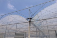 Serres polyvalentes à toiture en film de la marque ZHUOTAI, fabriquées en Chine - Économiques et faciles à installer