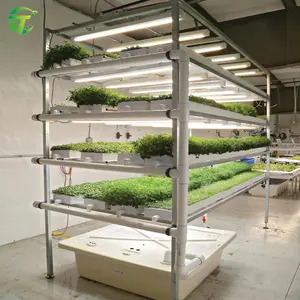 Plastic hydroponic gully nft channel vertical farming