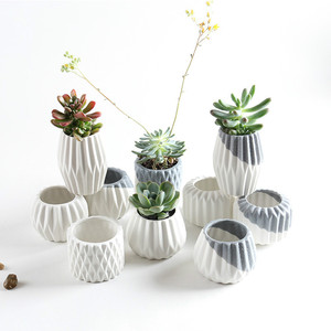 Pots de fleurs vertes, bonsaï, plantes succulentes, jardin, balcon, maison, conteneur de fleurs en céramique, intérieur et extérieur - Product Image 2