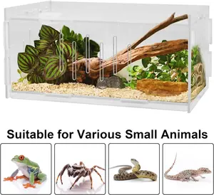 Custom Acrylic Small Reptile Jumping Spider Terrarium Enclosure Mini Transparent Feeding Tank