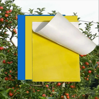 Piège à insectes collant double face bicolore jaune et bleu pour la lutte antiparasitaire des serres et des arbres fruitiers