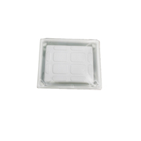 Prepared Adhesion Microscope Slide