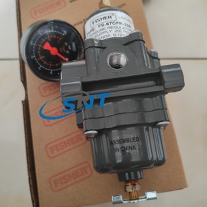 Regulador Neumático FS-67CFR-226, 250 psi, 0-125 psi, 1/4 Npt - Product Image 4