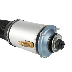 โช้คอัพหน้า 4E0616039AF 4E0616040AF สำหรับ Audi A8 D3 ชุดประกอบระบบกันสะเทือนแบบถุงลม - Product Image 6