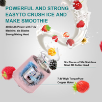 OEM Aangepaste Logo 500ML Draagbare Type-C Blenderbeker BPA-vrij RVS Mini Fruitpers Mixer voor Thuis Buiten Gym Reizen
