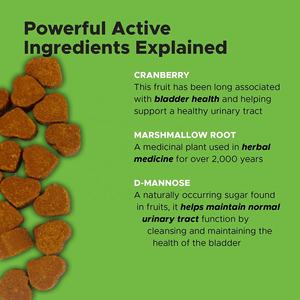 Mastication douce de canneberges de marque personnalisée pour chiens-supplément de bien-être des reins, de la <span class=keywords><strong>vessie</strong></span> et des voies urinaires-Booster naturel du système immunitaire - Product Image 4