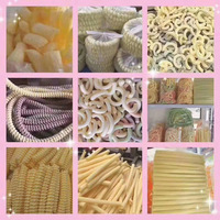 Machine à Souffler le Blé, le Maïs et le Riz Industrielle Commerciale, Machine Électrique Automatique à Popcorn et Snacks, Machine à Souffler à l'Air Chaud