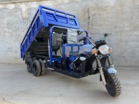 Tricycle motorisé de fret 300cc le plus vendu avec fonction d'auto-déchargement, carrosserie ouverte, charge utile de 3000 kg, moteur à essence