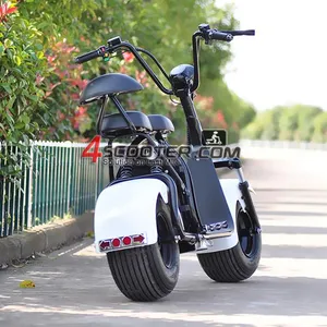 EEC APPROVED electric scooter 1000w 48v electric scooter 2018 citycoco 2000 w
