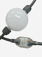 Lampe de fête foraine RGB programmable, lumière ponctuelle LED de 50 mm pour l'éclairage des parcs d'attractions