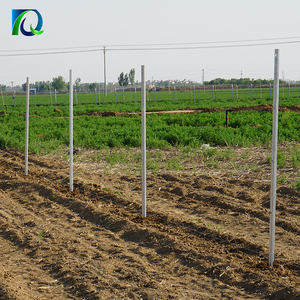 Nhà Cung Cấp Trung Quốc Mạ Kẽm Kim Loại Vineyard Ba Lan Kinh Tế Bền Mạ Kẽm Trụ Cột Nho Nho - Product Image 2