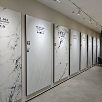 Dalle en pierre frittée polie 1200x2400x9mm, haute résistance à l'usure, style moderne, carrelage mural et de sol pour salon et centre commercial