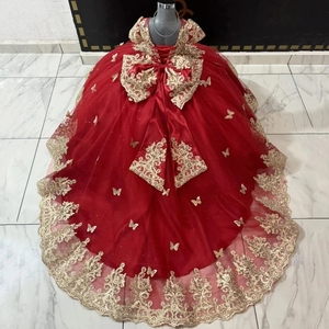 Abiti <span class=keywords><strong>da</strong></span> Damigella Personalizzati Rossi con Applicazioni Dorate e Farfalle, Maniche Corte, Classico <span class=keywords><strong>Vestito</strong></span> <span class=keywords><strong>da</strong></span> Ballo <span class=keywords><strong>per</strong></span> Feste di Compleanno <span class=keywords><strong>per</strong></span> Bambini - Product Image 1