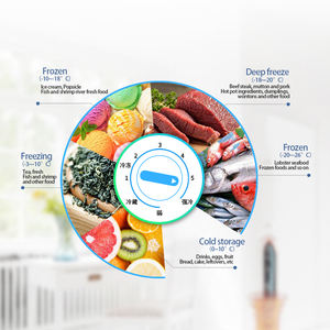 Refrigerador de puerta superior, congelador de refrigerador de la <span class=keywords><strong>mejor</strong></span> calidad, de lado a lado, BD-250, <span class=keywords><strong>2022</strong></span> - Product Image 5