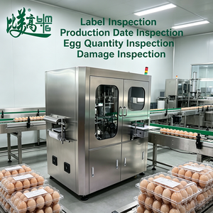 Inspección y Rechazo de Defectos Estéticos Todo en Uno con Iluminación Multiespectral y Clasificador IA para Detección de Etiquetas en Bandejas de Huevos - Product Image 2
